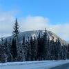 bonputman